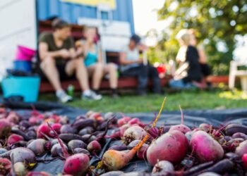 The New Harvest: Suburbia’s Expanding Backyard Food Networks