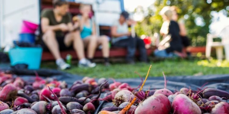 The New Harvest: Suburbia’s Expanding Backyard Food Networks