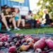 The New Harvest: Suburbia’s Expanding Backyard Food Networks