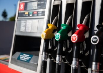 Albanese Appoints Anthea Harris to Lead New National PM Fuel Taskforce Amid Regional Crisis