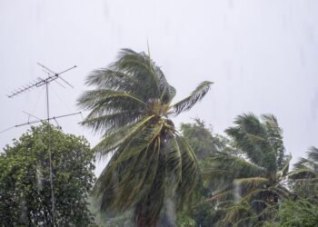 Preparing for the Storm: Tropical Cyclone Narelle Threatens Far North Queensland