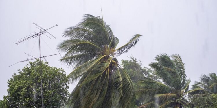 Preparing for the Storm: Tropical Cyclone Narelle Threatens Far North Queensland