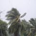 Preparing for the Storm: Tropical Cyclone Narelle Threatens Far North Queensland