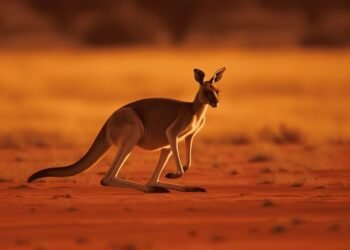 The Pulse of Australia: Navigating a Month of High Stakes and Human Spirit