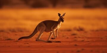 The Pulse of Australia: Navigating a Month of High Stakes and Human Spirit